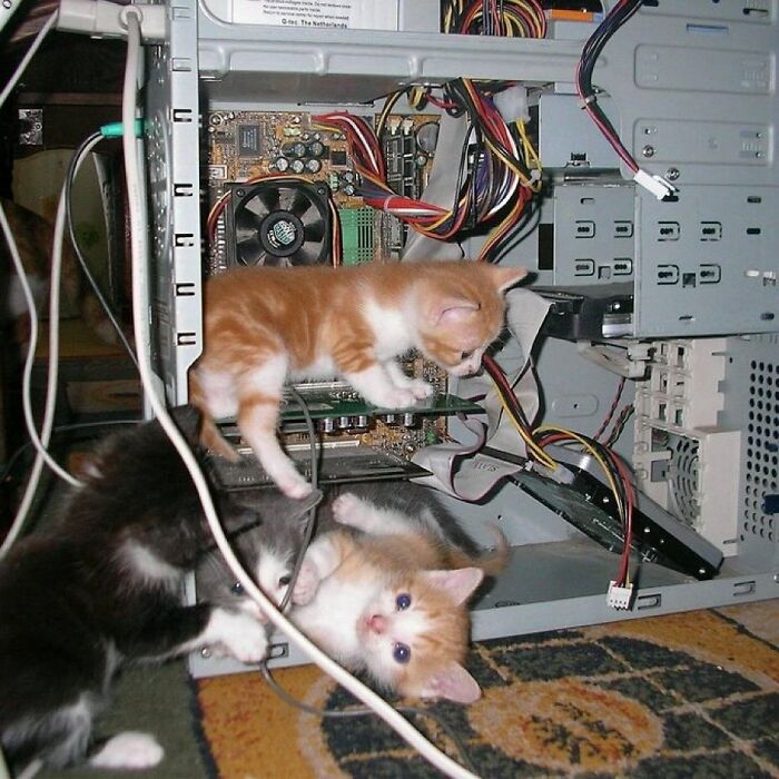 Tres gatitos adorables jugando dentro y alrededor de una torre de computadora abierta, mostrando ternura y curiosidad.