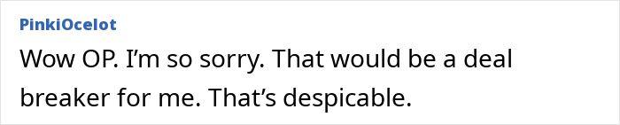 Comment from PinkiOcelot expressing sympathy and calling husband's behavior despicable after woman discovers husband texted his mother about lies.