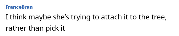 Comment text from user FranceBrun discussing Meghan Markle's fruit-picking photo, mentioning attaching fruit to a tree.