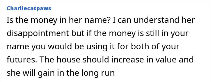 User comment discussing concerns about ownership and value related to stealing daughters trust fund and futures.