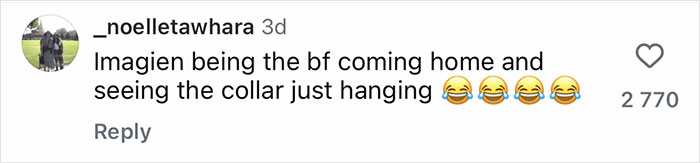Comment on social media post with laughing emojis reacting to man’s romantic plans going viral after his little dog accidentally floats across living room. Comment on social media post with laughing emojis reacting to man’s romantic plans going viral after his little dog accidentally floats across living room.