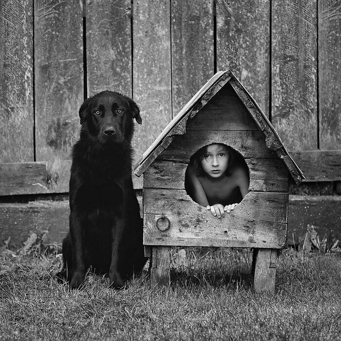 Black dog sitting on grass next to a child peeking out from a wooden doghouse, showcasing random animal sightings on the street.