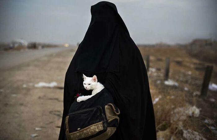 A white cat peeks out from a black bag carried by a person in a black cloak, captured during a random animal street sighting.