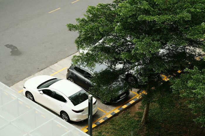 Two cars parked in shaded parking spaces beside a tree, illustrating everyday petty moments in breakups.