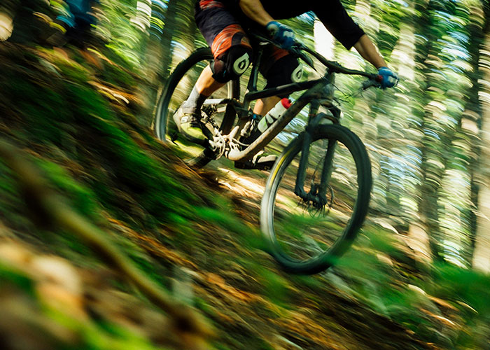 Mountain biker wearing protective gear riding fast down a steep forest trail, illustrating dumbest reasons risks.