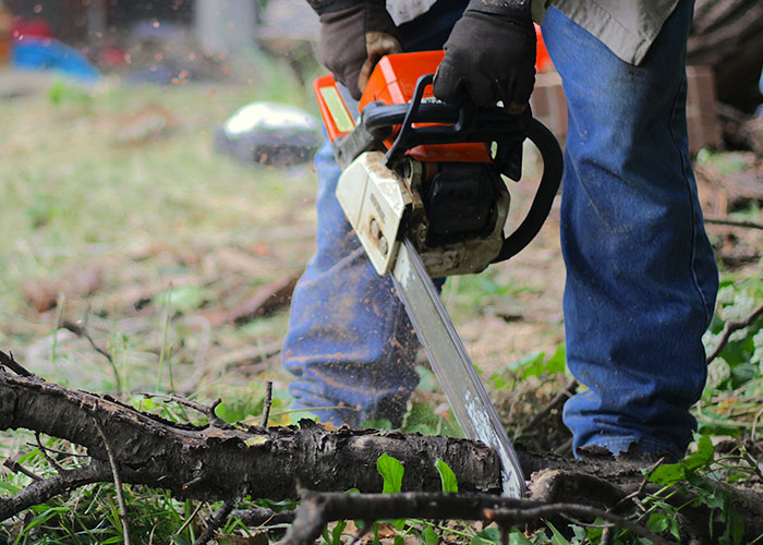 Person using a chainsaw to cut wood outdoors, illustrating dumbest reasons that almost cost people their lives.