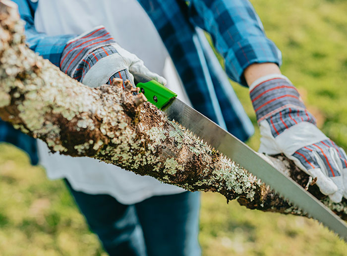 Person wearing gloves and plaid shirt cutting a large tree branch, highlighting homeowner&rsquo;s frustration with neighbor&rsquo;s driveway use.