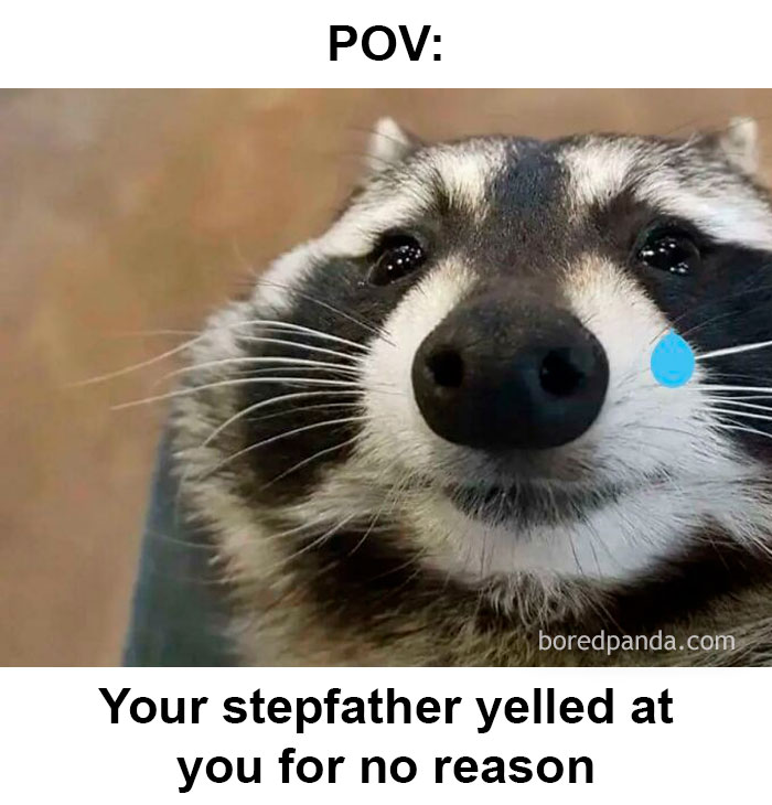 Close-up of a sad raccoon with a tear emoji, illustrating memes about entitled parents and family frustrations.