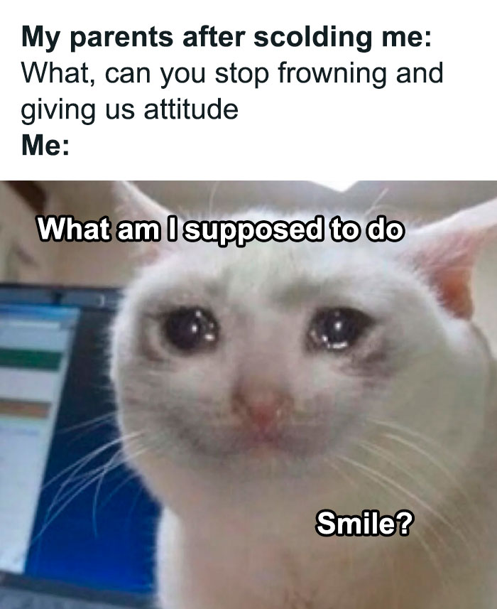 Crying cat meme showing frustration, illustrating the theme of entitled parents in accurate relatable memes.