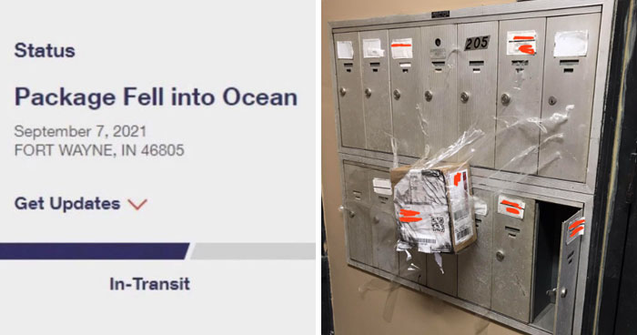 50 Times Disappointment With Deliveries Couldn’t Be Described With Words