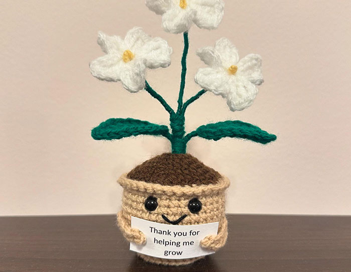 Crochet plant gift with white flowers and a thank you note, a personal and thoughtful gift idea that feels expensive.