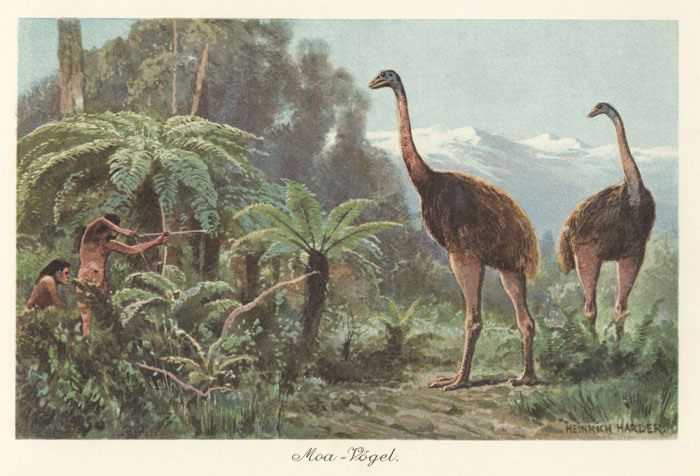 Illustration of extinct moa birds in a prehistoric forest, highlighting scientists close to bringing extinct animals back.