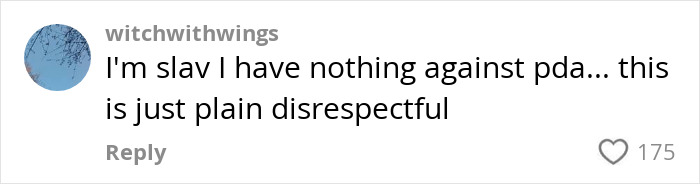Comment expressing anger over a disrespectful PDA act on plane, sparking heated passenger debate online.