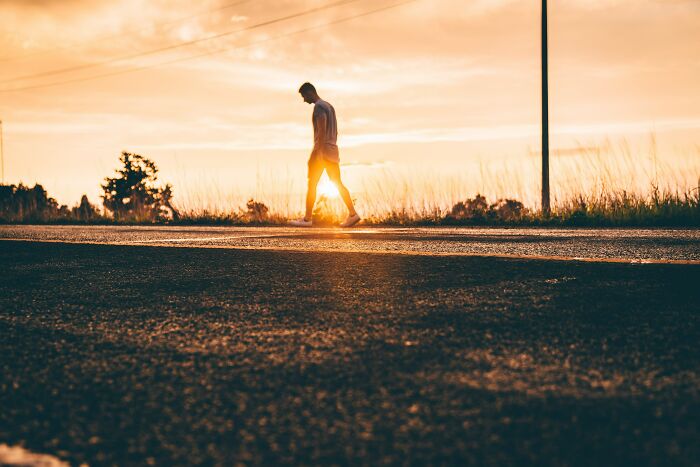 Silhouette of a person walking along a roadside at sunset, capturing moments truckers share about craziest things seen. - 31