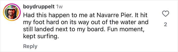 Comment from Florida surfer describing a shark headbutting his foot near Navarre Pier in a viral video.