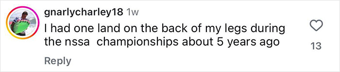Comment on Instagram by user gnarlycharley18 describing a past experience with a shark landing on their legs during a surfing championship.