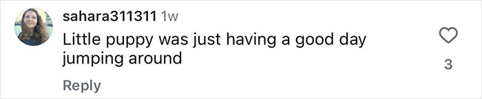 Comment on a viral video post about a Florida surfer reacting after being headbutted by a flying shark.