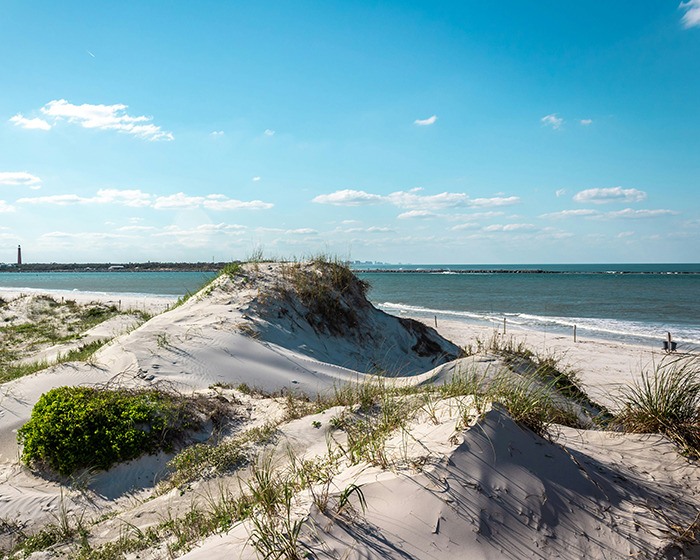 Sandy beach with dunes and ocean waves under a clear sky, near the location of a Florida surfer headbutted by flying shark.
