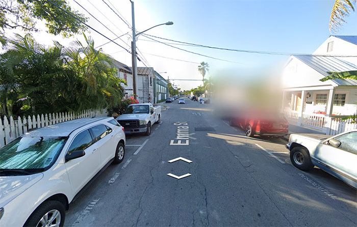 Residential street in Florida with parked cars and palm trees relating to Florida woman attacking driver over chicken incident - 9