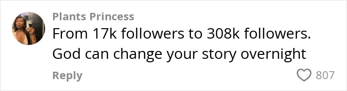 User comment about follower growth and changing stories, highlighting micro-influencer impact in an online restaurant shaming context.