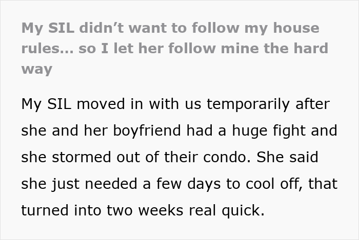 Woman creates a mess in SIL’s home, facing unexpected reality check while staying temporarily after a fight. - 2