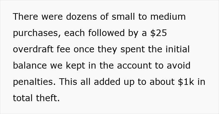 Text describing overdraft fees and purchases illustrating a pregnant woman’s revenge after a friend’s guest theft incident. - 17