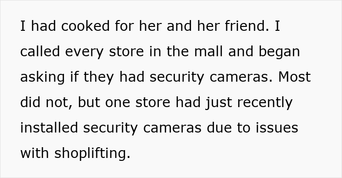 Text describing a pregnant woman seeking revenge after a friend’s guest steals, involving security cameras and shoplifting issues. - 20