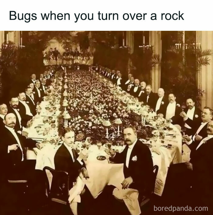 A large group of well-dressed men sitting at a long banquet table, captioned with a funny meme about bugs.