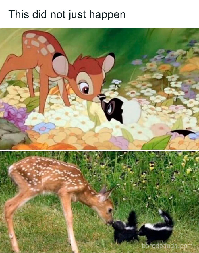 Animated and real-life deer and skunks touching noses in a funny animal meme showing a pure moment in nature.