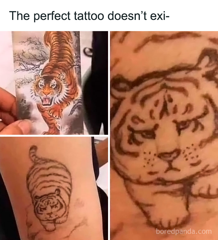 Funny animal meme showing a comparison between a realistic tiger image and a poorly drawn tiger tattoo.