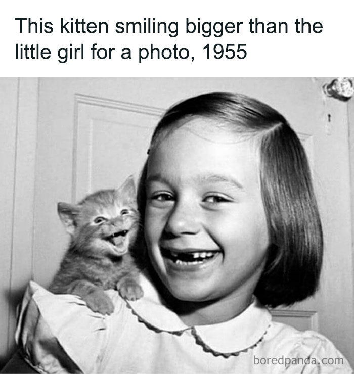 Black and white photo of a girl and a kitten smiling, a funny animal meme capturing pure joy and happiness.