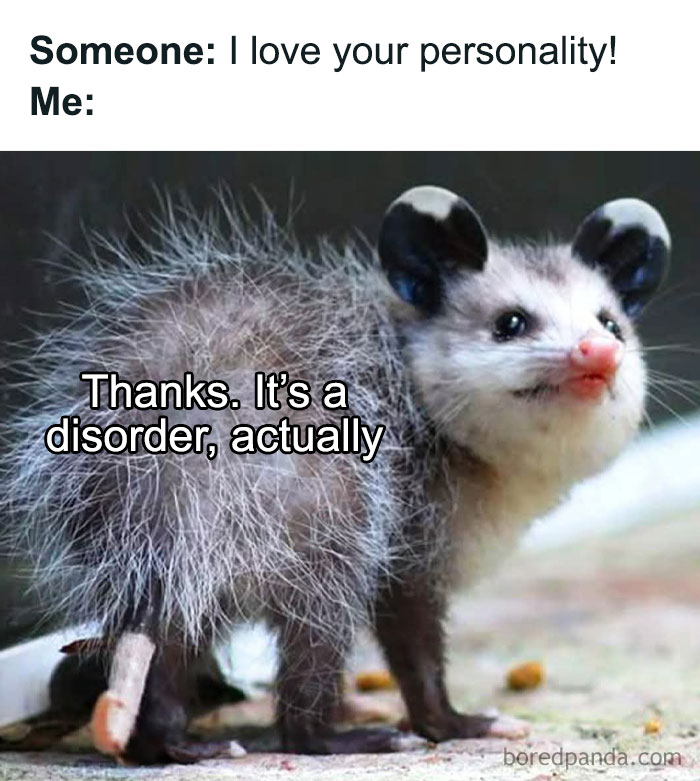 Funny animal meme featuring a fluffy opossum with text about personality seen as a disorder in a humorous way.