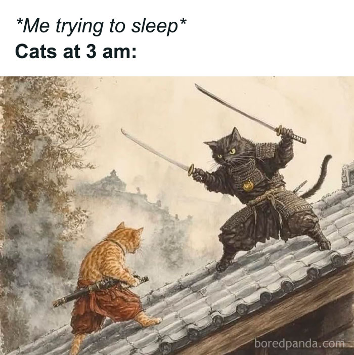 Two cats dressed as samurai warriors duel on a rooftop in a funny animal meme about cats at 3 am.