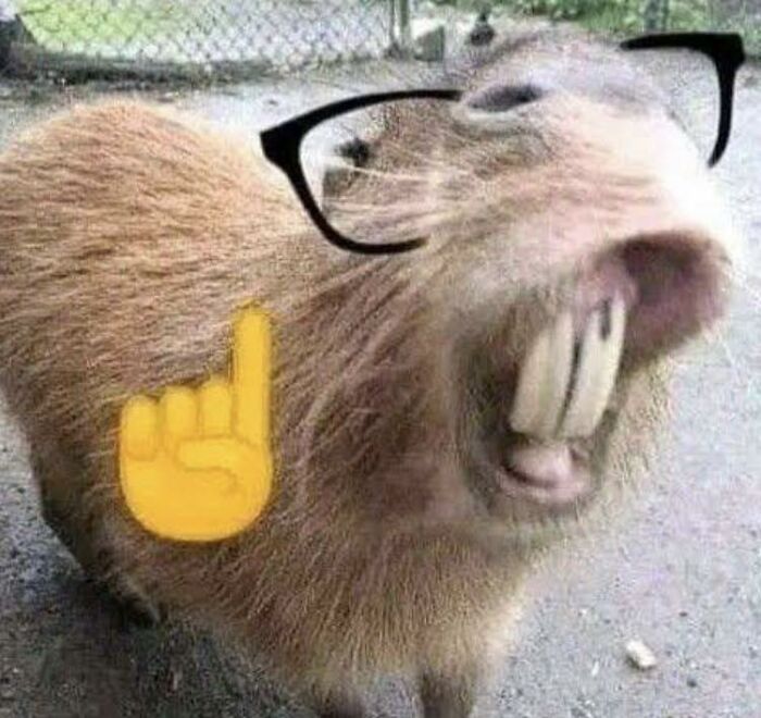 Capybara wearing black glasses with a large smile and a yellow pointing finger emoji, a blessed image to make you smile.