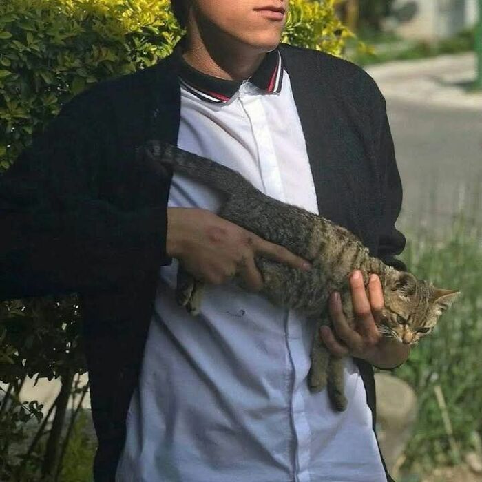 Young man holding a relaxed gray tabby cat outdoors, showcasing a blessed moment to make you smile.