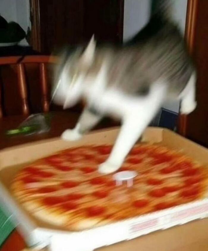 Blurry cat jumping on a large pepperoni pizza in a box with a wooden chair and door in the background.