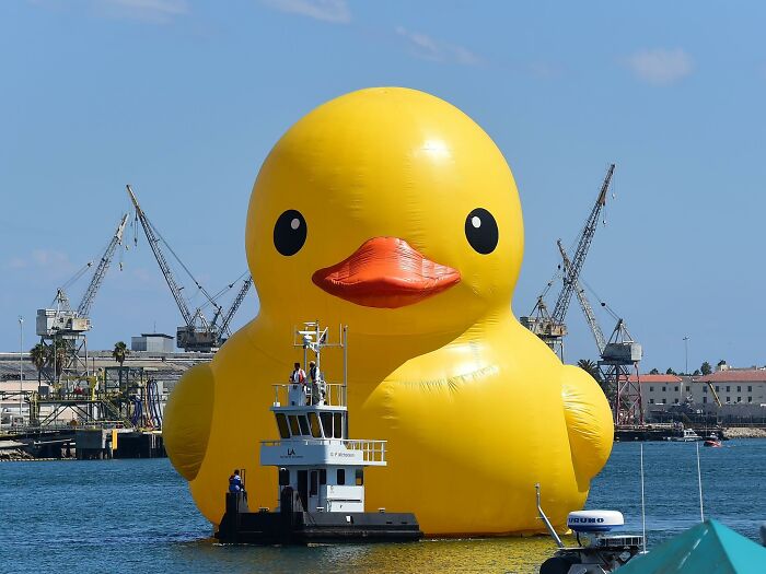 Giant yellow rubber duck floating near a tugboat with cranes and buildings in the background, blessing the harbor scene.