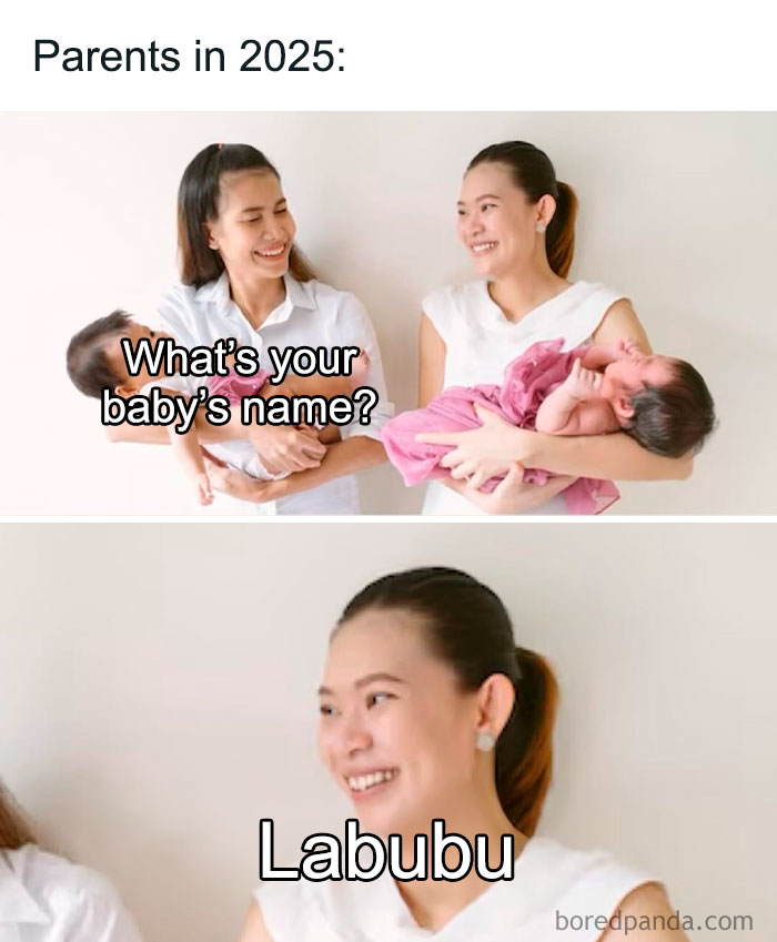 Two women holding babies in a meme format referencing the Labubu doll sparking hilarious memes online.