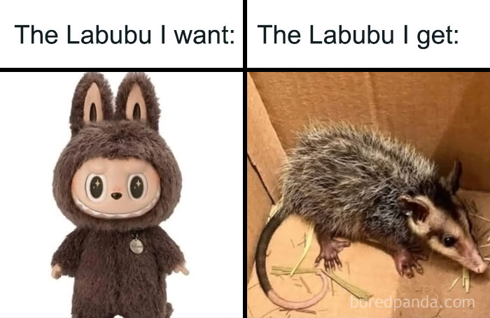Side-by-side comparison of a Labubu doll and a real animal highlighting the Labubu doll meme trend online.