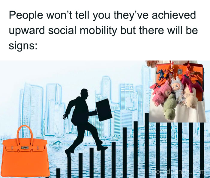 Silhouette climbing social mobility graph with luxury bag and Labubu doll keychains sparking hilarious memes online.
