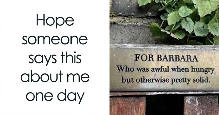 “Circle Of Idiots”: These 50 Posts Have No Business Being This Funny (New Pics)