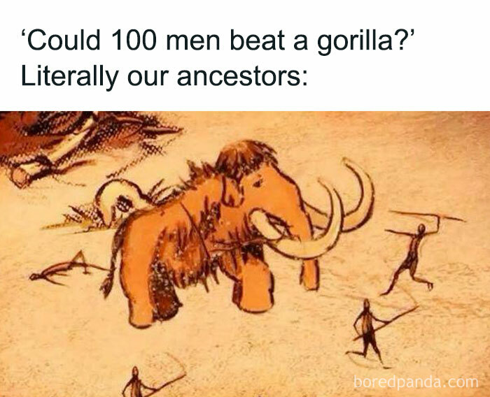 Cave painting meme showing ancestors hunting a mammoth, making history lessons entertaining with memes.
