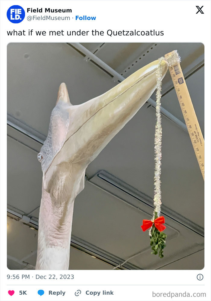Quetzalcoatlus model with mistletoe hanging from a ruler, a funny post by an official social media account.