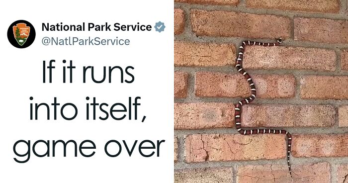 50 Times Official Accounts Posted The Most Hilarious And Unhinged Things Online