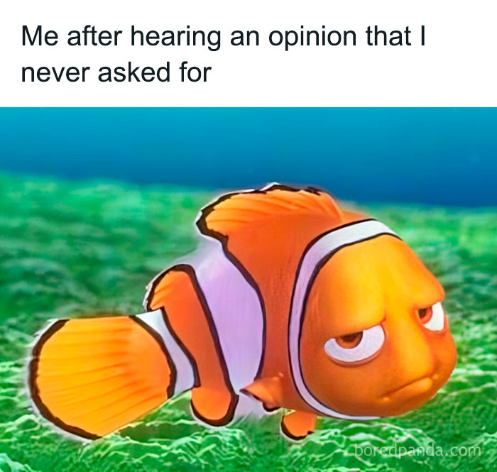 Grumpy clownfish underwater with caption about hearing an opinion not asked for, a relatable random meme.