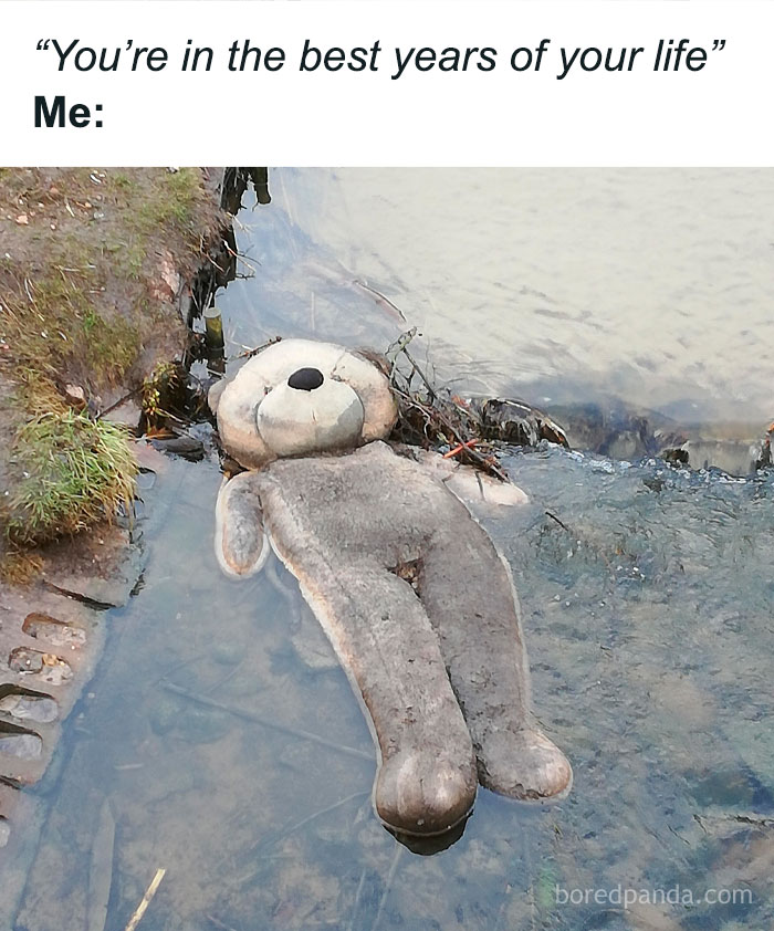 Worn stuffed bear floating face up in a shallow creek, depicting relatable random meme about tough years in life.