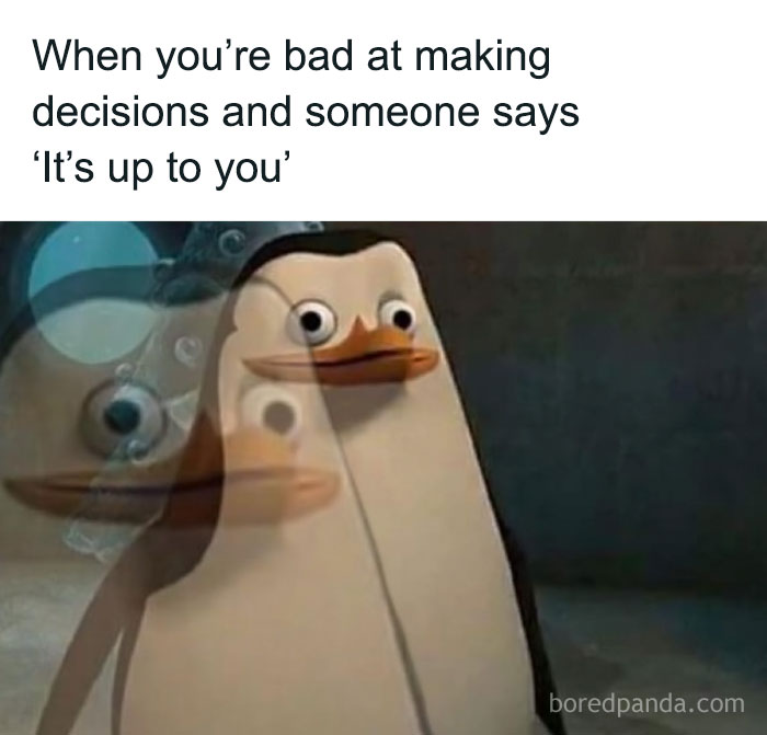 Confused penguin meme showing indecision, illustrating humor in totally random relatable memes about decision-making struggles.