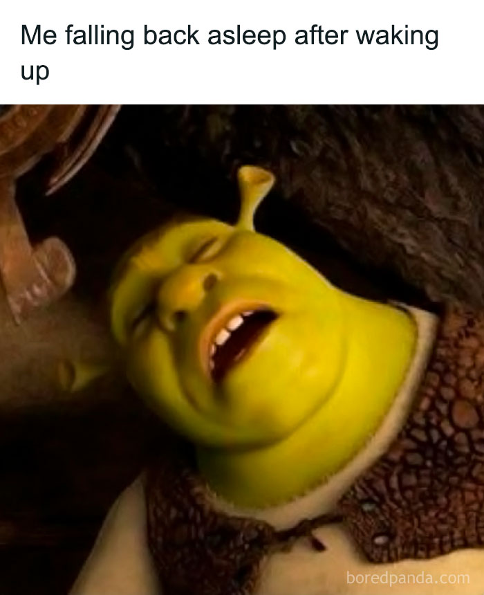 Meme showing Shrek falling asleep with caption about falling back asleep, illustrating relatable random memes.