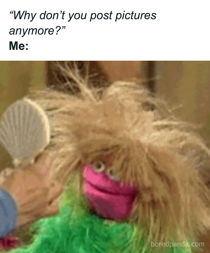 Muppet with wild messy hair holding a brush, illustrating a relatable totally random meme about not posting pictures anymore.