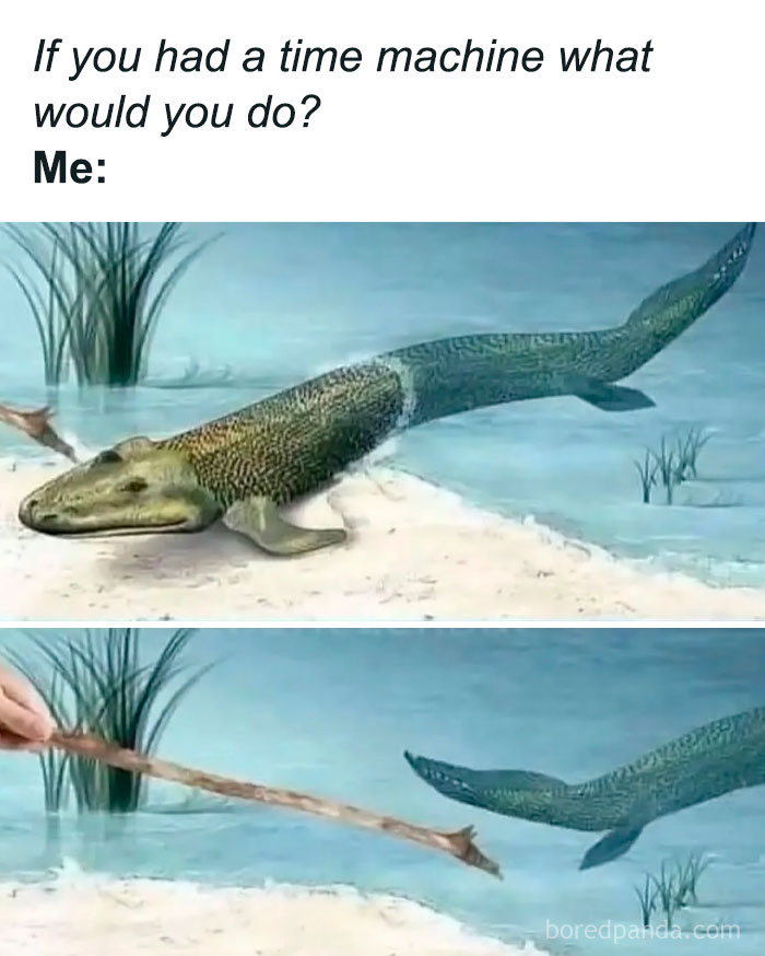 Meme showing a prehistoric fish reacting humorously to a stick, illustrating casual nihilism relatable humor.